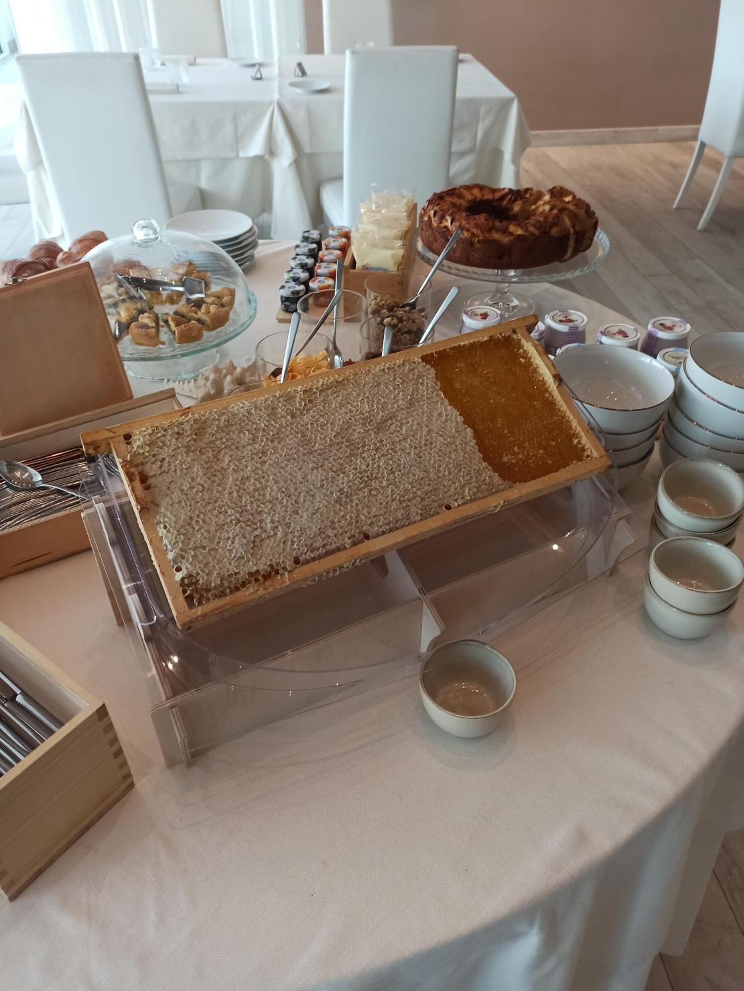 Elite Boutique Hotel Roseto Degli Abruzzi Εξωτερικό φωτογραφία